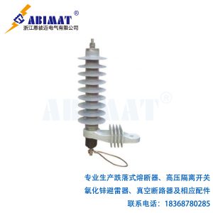 (HY)YH10W-21-出口型氧化鋅避雷器-恩彼邁